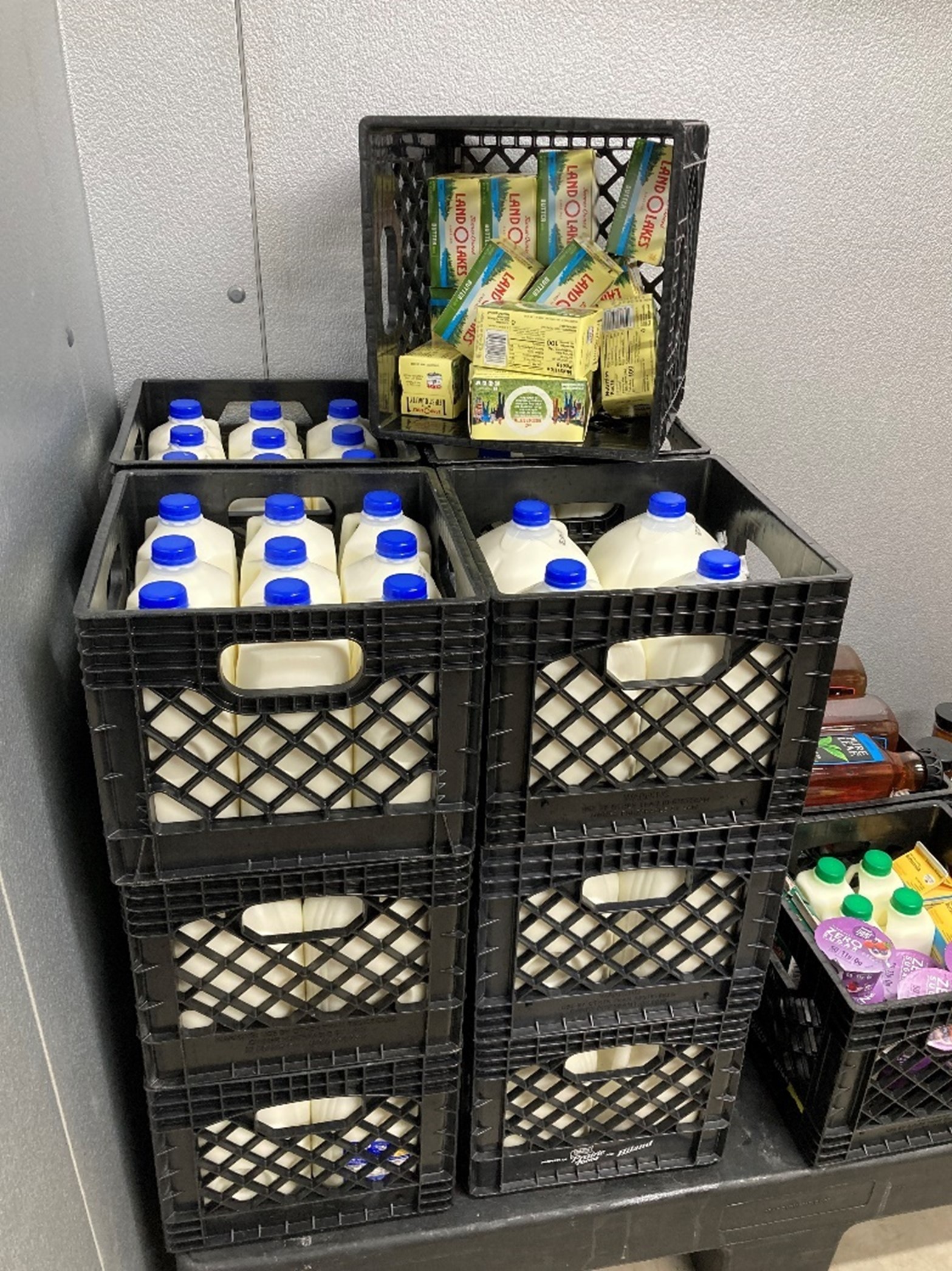 Several crates of milk jugs stacked in a cooler
